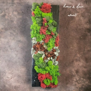 Tablou licheni stabilizati,16x50 cm - casă & stil de viață - accesorii pentru decorat casa - decorațiuni de pereți, decorațiuni suspendate - tablou cu licheni - Artynos.ro