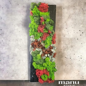 Tablou licheni stabilizati,16x50 cm - casă & stil de viață - accesorii pentru decorat casa - decorațiuni de pereți, decorațiuni suspendate - tablou cu licheni - Artynos.ro