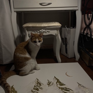 Golden coldness - arte vizuale și accesorii  - picturi - pictură acrilică - Artynos.ro