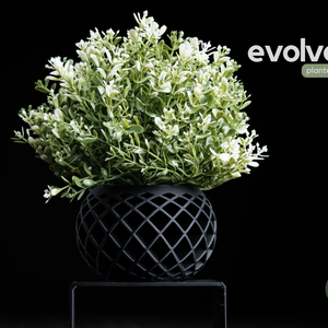 ghiveci decorativ imprimat 3D  evolve, Accessorii si unelte, Obiecte de decorare, Plastic, Altele, ARTYNOS