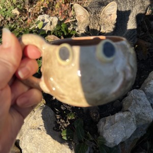 Cană cu broască fericită - cadou perfect, aproximativ 300 ml - casă & stil de viață - accesorii pentru echipamente de bucătărie - accesorii de servire - căni - Artynos.ro