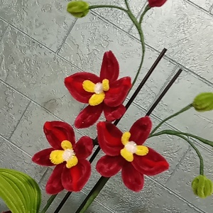 Orhidee - casă & stil de viață - accesorii pentru casă și grădină - cutii de flori, cutii de balcon - Artynos.ro
