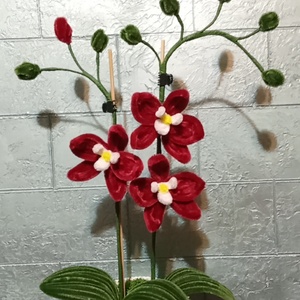 Orhidee, Casă & Stil de viață, Accesorii pentru decorat casa, Suport de flori, Accesorii florale, , ARTYNOS