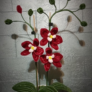 Orhidee - casă & stil de viață - accesorii pentru decorat casa - suport de flori - accesorii florale - Artynos.ro