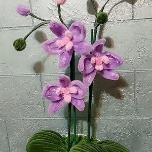 MeryPetals