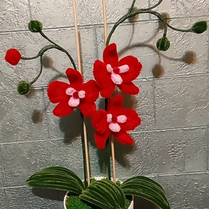 Orhidee - casă & stil de viață - accesorii pentru decorat casa - suport de flori - accesorii florale - Artynos.ro