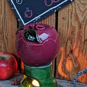 Cuptor pentru mere - casă & stil de viață - accesorii pentru echipamente de bucătărie - accesorii pentru coacere și gătit - articole de gătit și de cuptor - Artynos.ro