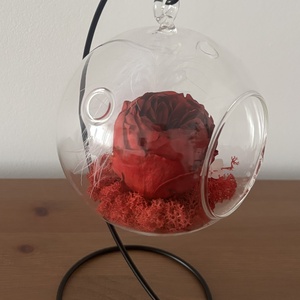 Terariu flori naturale - Red Peony - casă & stil de viață - decorațiuni de casă - accesorii florale - buchete de flori - Artynos.ro