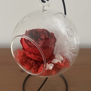 Terariu flori naturale - Red Peony - casă & stil de viață - decorațiuni de casă - accesorii florale - buchete de flori - Artynos.ro
