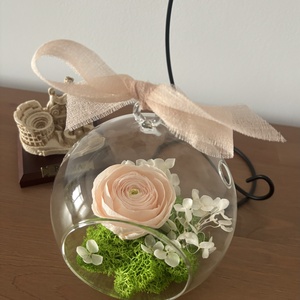 Terariu flori naturale - Ranunculus Garden - casă & stil de viață - decorațiuni de casă - accesorii florale - buchete de flori - Artynos.ro