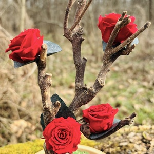 Cupola flori naturale - Love Tree - casă & stil de viață - decorațiuni de casă - accesorii florale - cutii cu flori - Artynos.ro