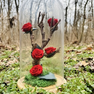 Cupola flori naturale - Love Tree - casă & stil de viață - decorațiuni de casă - accesorii florale - cutii cu flori - Artynos.ro