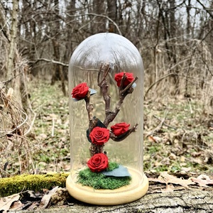 Cupola flori naturale - Love Tree, Casa & Stil de viata, Decoratiuni de casa, Accesorii florale, Cutii cu flori, Aranjament de flori, ARTYNOS