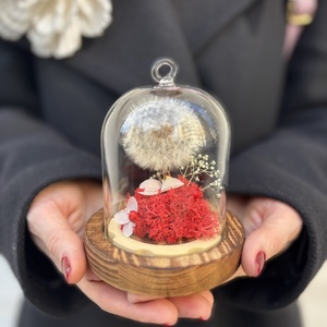 Cupola flori naturale - Dandelion Dream - casă & stil de viață - decorațiuni de casă - accesorii florale - cutii cu flori - Artynos.ro