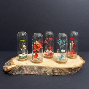 Tiny Garden - Artynos.ro