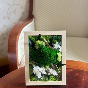 Tablou cu plante stabilizate - Forest Pocket - Artynos.ro