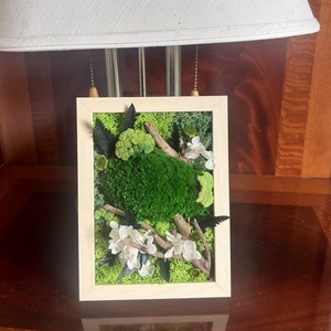 Tablou cu plante stabilizate - Forest Pocket - casă & stil de viață - decorațiuni de casă - decorațiuni de pereți - tablou cu licheni - Artynos.ro