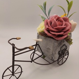 Soap blossoms pe o bicicletă -  - Artynos.ro