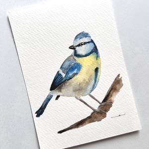 Pictură originală cu pasăre acuarelă - arte vizuale și accesorii  - picturi - acuarele picturi - Artynos.ro