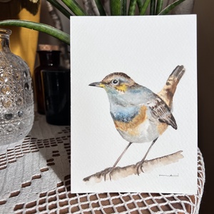 Pictură originală cu pasăre acuarelă - arte vizuale și accesorii  - picturi - acuarele picturi - Artynos.ro