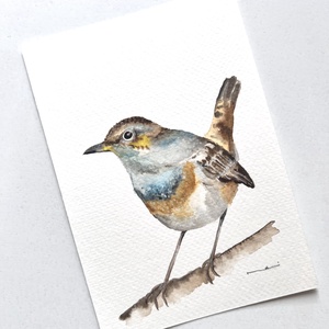 Pictură originală cu pasăre acuarelă - arte vizuale și accesorii  - picturi - acuarele picturi - Artynos.ro