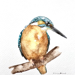 pictura originala in acuarela de pasare, pescarus, Arte vizuale si accesorii , Picturi, Acuarele picturi, Fotografie, grafica, desen, ilustratie, ARTYNOS