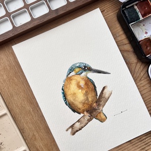 pictură originală în acuarelă de pasăre, pescăru� - arte vizuale și accesorii  - picturi - acuarele picturi - Artynos.ro