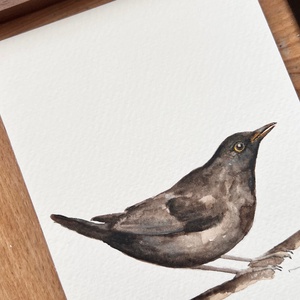 pictură originală în acuarelă de pasăre - arte vizuale și accesorii  - picturi - acuarele picturi - Artynos.ro