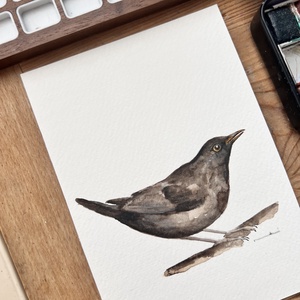 pictură originală în acuarelă de pasăre - arte vizuale și accesorii  - picturi - acuarele picturi - Artynos.ro