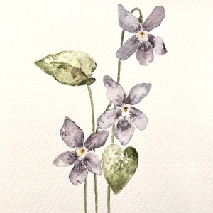 pictura originala in acuarela de floare, Arte vizuale si accesorii , Picturi, Acuarele picturi, Fotografie, grafica, desen, ilustratie, ARTYNOS