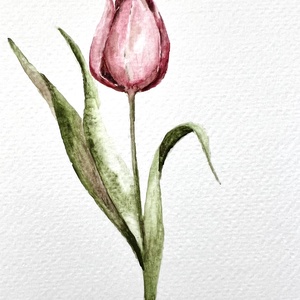 pictură originală în acuarelă de floare - arte vizuale și accesorii  - picturi - acuarele picturi - Artynos.ro