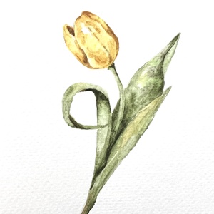 pictura originala in acuarela de floare, Arte vizuale si accesorii , Picturi, Acuarele picturi, Fotografie, grafica, desen, ilustratie, ARTYNOS