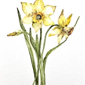 pictura originala in acuarela de floare, Arte vizuale si accesorii , Picturi, Acuarele picturi, Fotografie, grafica, desen, ilustratie, ARTYNOS