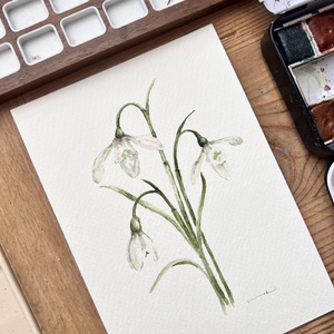 pictura originala in acuarela de floare, Arte vizuale si accesorii , Picturi, Acuarele picturi, Fotografie, grafica, desen, ilustratie, ARTYNOS