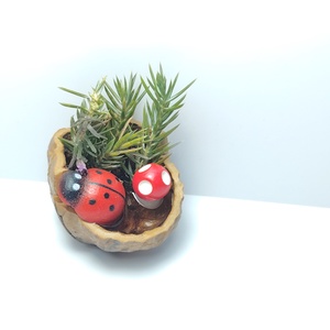 Mini peisaj natural in coaja de nuca � martisor decorativ handmade unicat - Artynos.ro