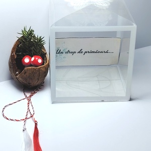 Martisor mini aranjament natural in nuca - Artynos.ro