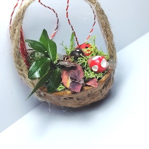 Martisor mini aranjament natural în nucă - bijuterii - mărțișor - Artynos.ro