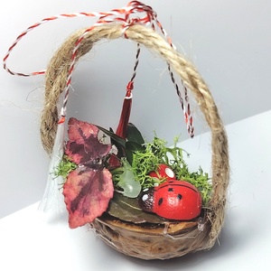Martisor mini aranjament natural în nuca - bijuterii - mărțișor - Artynos.ro