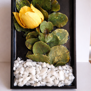 Tablou handmade 10x15 decor cu trandafiri si eucalipt accent auriu decor elegant - casă & stil de viață - decorațiuni de casă - decorațiuni de pereți - tablou cu licheni - Artynos.ro