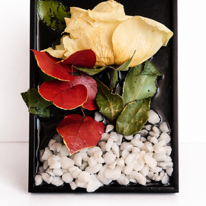 Tablou decorativ mic 10x15 cu plante naturale trandafiri si eucalipt cadou deosebit - casă & stil de viață - decorațiuni de casă - decorațiuni de pereți - tablou cu licheni - Artynos.ro