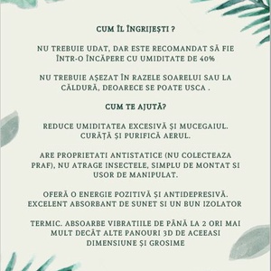 Ceas de metal decorat cu licheni verzi - casă & stil de viață - accesorii pentru decorat casa - decorațiuni de pereți, decorațiuni suspendate - ceasuri de perete - Artynos.ro