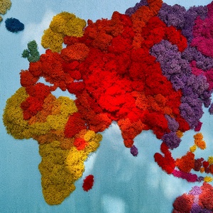 Harta cu licheni World Map Multicoloured - casă & stil de viață - accesorii pentru decorat casa - decorațiuni de pereți, decorațiuni suspendate - decorațiuni suspendate - Artynos.ro