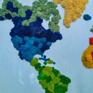Harta cu licheni World Map Multicoloured - casă & stil de viață - accesorii pentru decorat casa - decorațiuni de pereți, decorațiuni suspendate - decorațiuni suspendate - Artynos.ro