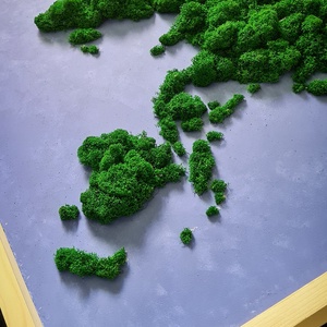 Harta cu licheni World Map - casă & stil de viață - accesorii pentru decorat casa - decorațiuni de pereți, decorațiuni suspendate - decorațiuni suspendate - Artynos.ro