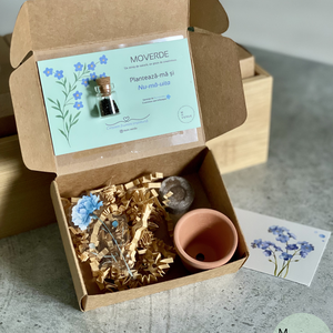 Kit Cadou DIY plantabil Nu-ma-uita MoVerde - Artynos.ro