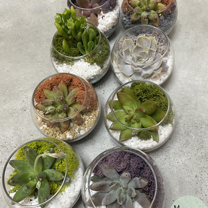 Oaza de Verde, terariu cu o planta suculenta naturala, Casa & Stil de viata, Decoratiuni de casa, Accesorii florale, Ghiveci de plante, Aranjament de flori, Terariu cu o planta suculenta, realizat manual la comanda.
Substratul este special pentru plante su..., ARTYNOS