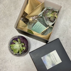 KIT DIY cu plante suculente M - diy - pregătește-ți singur - pachete diy, kituri - Artynos.ro