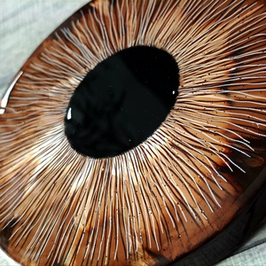 Tablou - model Iris - arte vizuale și accesorii  - picturi - pictură acrilică - Artynos.ro