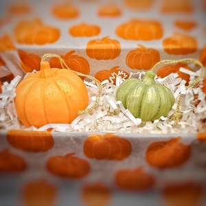 Pumpkin Bliss - Set odorizante 3D din ceară parfumată - casă & stil de viață - lumânări, parfumuri, arome - ceară parfumată - Artynos.ro