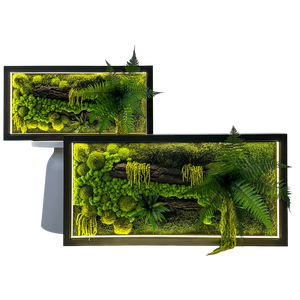 Tablou cu licheni stabilizati si led 8040 cm - casă & stil de viață - accesorii pentru decorat casa - decorațiuni de pereți, decorațiuni suspendate - tablou cu licheni - Artynos.ro